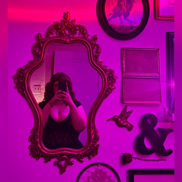 Meet your Posher, Dakota - Picture 1 of 1